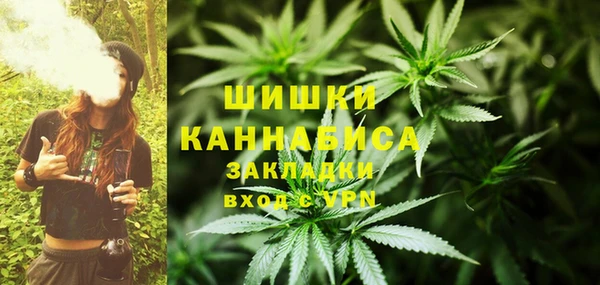 стафф Белокуриха