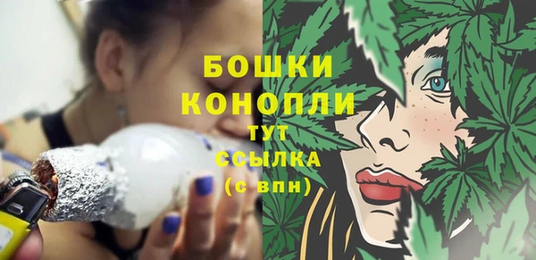 гидропоника Богородск