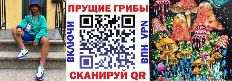 наркота  Надым  Галлюциногенные грибы Psilocybe 